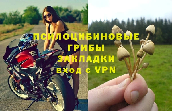 гашик Балахна