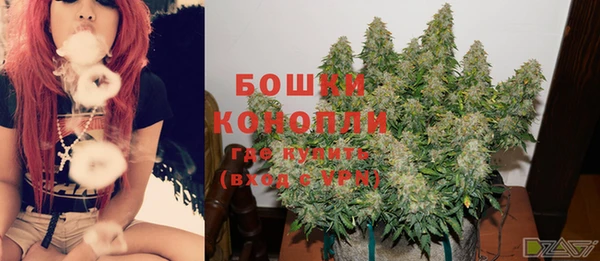 гашик Балахна