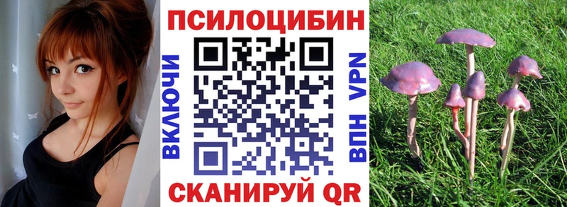 Псилоцибиновые грибы Cubensis  hydra ссылка  нарко площадка официальный сайт  Щёлкино 